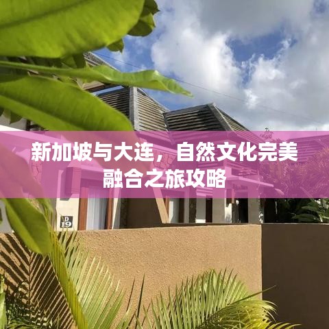 新加坡与大连，自然文化完美融合之旅攻略