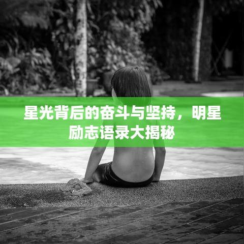 星光背后的奋斗与坚持，明星励志语录大揭秘