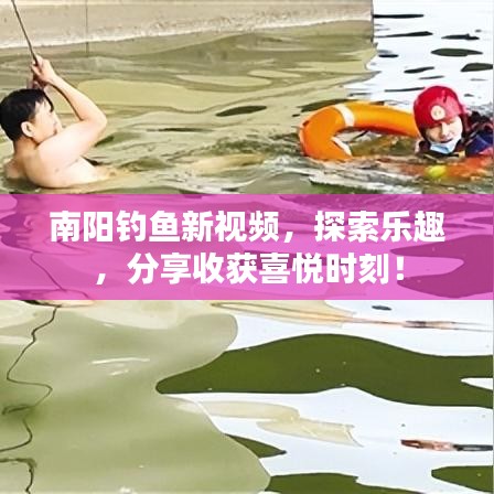 南阳钓鱼新视频，探索乐趣，分享收获喜悦时刻！