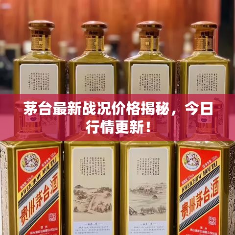 茅台最新战况价格揭秘，今日行情更新！