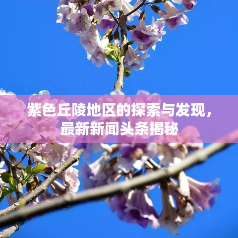 紫色丘陵地区的探索与发现，最新新闻头条揭秘