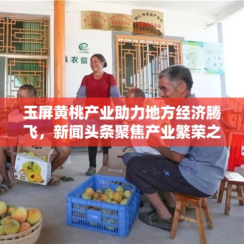 玉屏黄桃产业助力地方经济腾飞，新闻头条聚焦产业繁荣之路