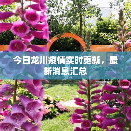 今日龙川疫情实时更新，最新消息汇总