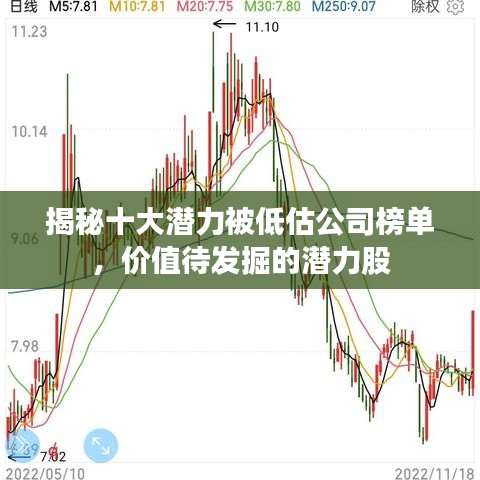揭秘十大潜力被低估公司榜单，价值待发掘的潜力股