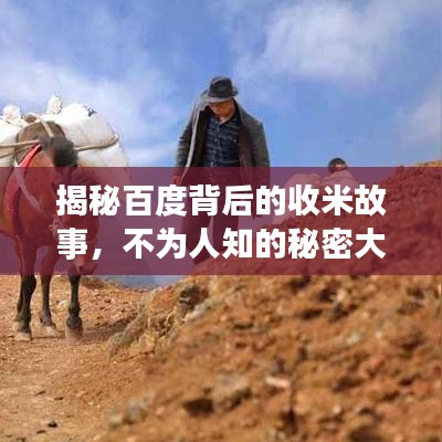 揭秘百度背后的收米故事，不为人知的秘密大揭秘！