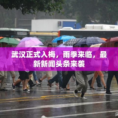 武汉正式入梅，雨季来临，最新新闻头条来袭