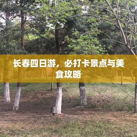 长春四日游，必打卡景点与美食攻略