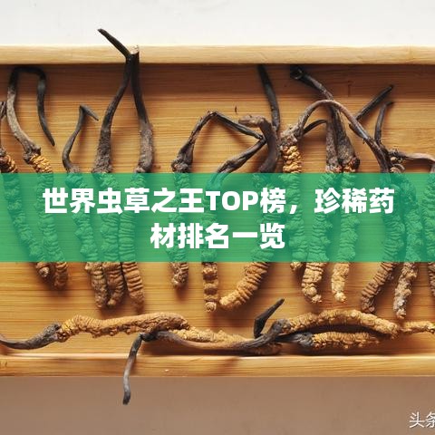 医疗器械外观设计
