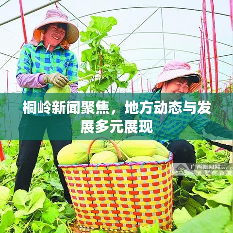 吉光片羽