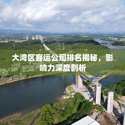 大湾区客运公司排名揭秘，影响力深度剖析