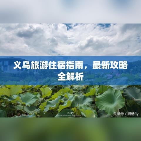 义乌旅游住宿指南，最新攻略全解析