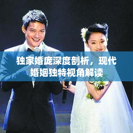 独家婚庞深度剖析，现代婚姻独特视角解读