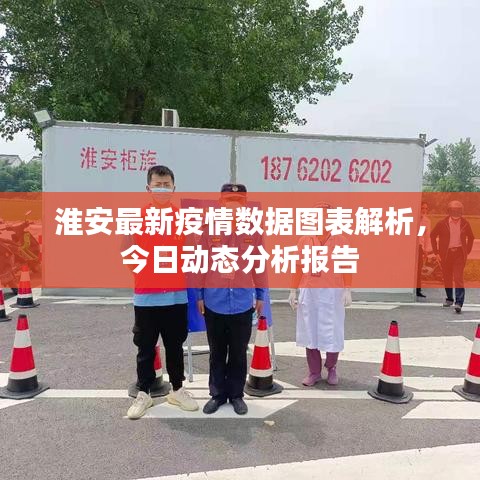 淮安最新疫情数据图表解析，今日动态分析报告
