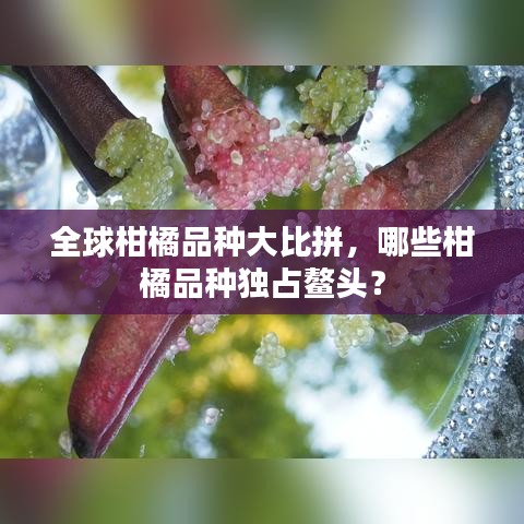 全球柑橘品种大比拼，哪些柑橘品种独占鳌头？
