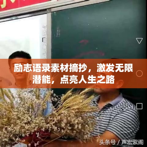励志语录素材摘抄，激发无限潜能，点亮人生之路