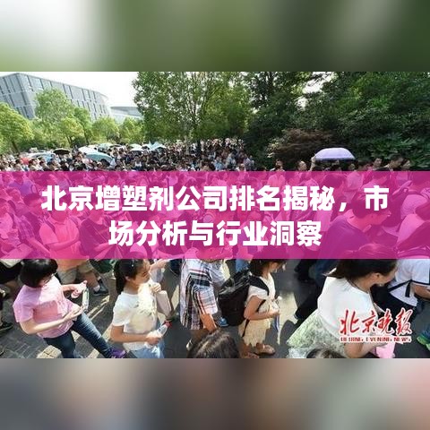 北京增塑剂公司排名揭秘，市场分析与行业洞察