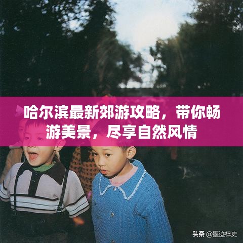 哈尔滨最新郊游攻略，带你畅游美景，尽享自然风情
