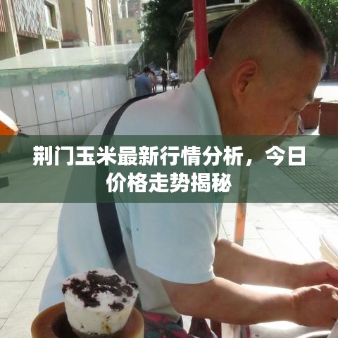荆门玉米最新行情分析，今日价格走势揭秘