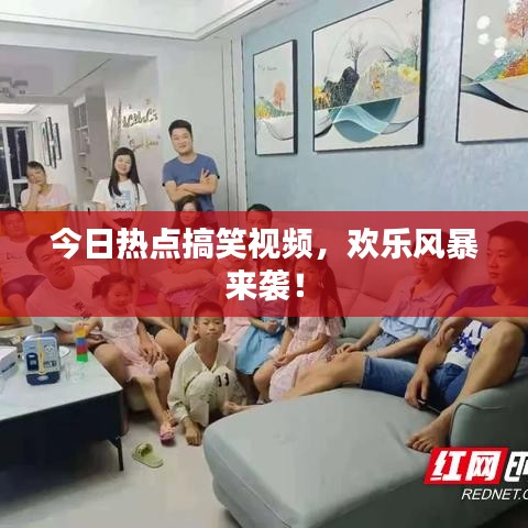 今日热点搞笑视频，欢乐风暴来袭！
