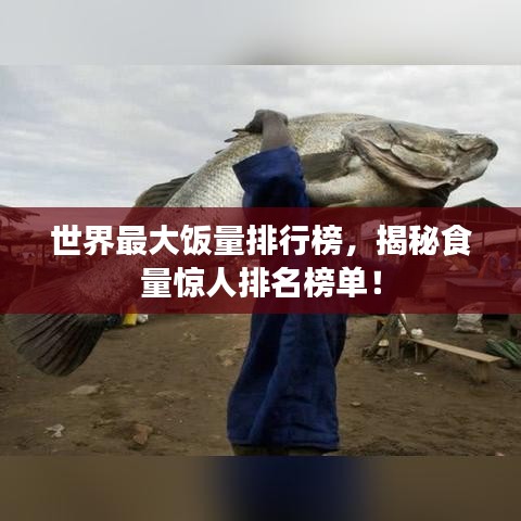 世界最大饭量排行榜，揭秘食量惊人排名榜单！