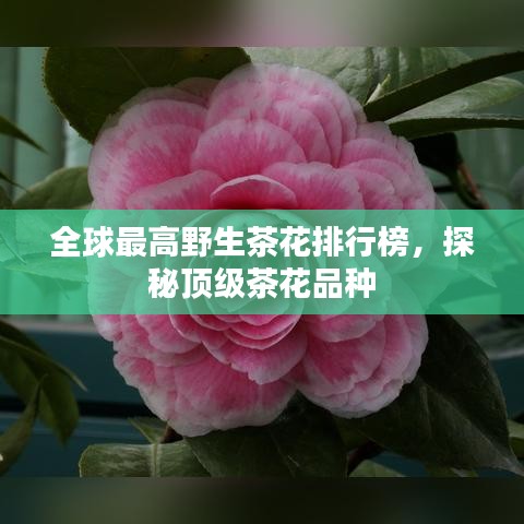 2025年5月23日