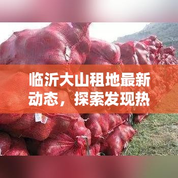 临沂大山租地最新动态，探索发现热线电话公开！