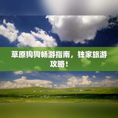 草原狗狗畅游指南，独家旅游攻略！