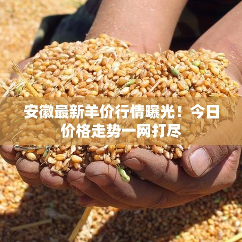 安徽最新羊价行情曝光！今日价格走势一网打尽