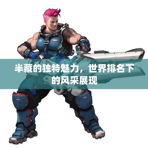 半藏的独特魅力，世界排名下的风采展现