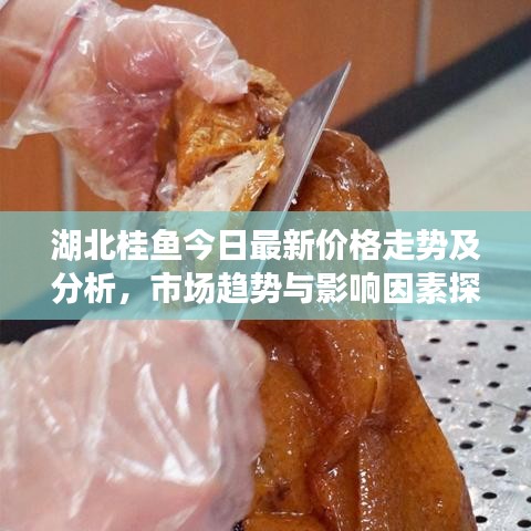 湖北桂鱼今日最新价格走势及分析，市场趋势与影响因素探讨