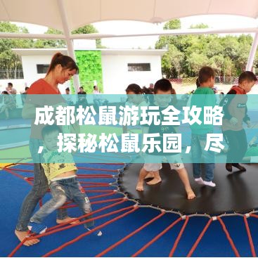 成都松鼠游玩全攻略，探秘松鼠乐园，尽享自然魅力！
