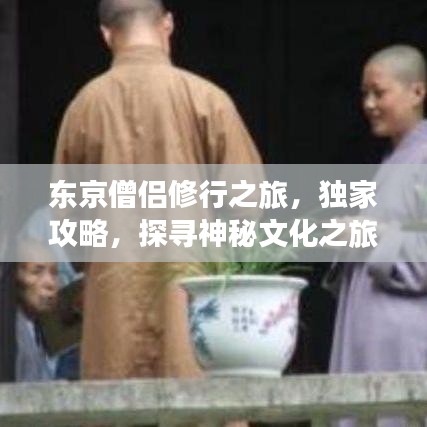 东京僧侣修行之旅，独家攻略，探寻神秘文化之旅
