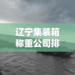 辽宁集装箱称重公司排行榜揭晓，权威排名，你不可不知！