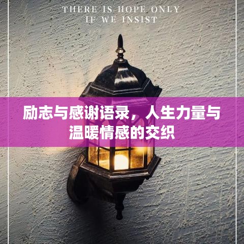 励志与感谢语录，人生力量与温暖情感的交织