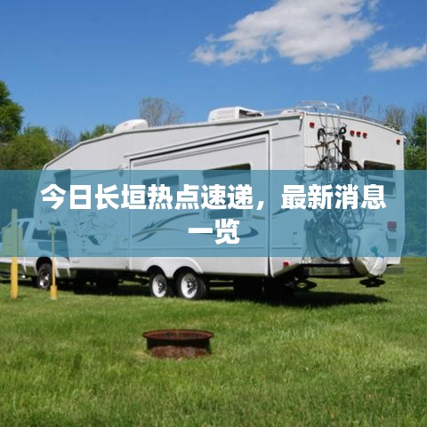 今日长垣热点速递，最新消息一览