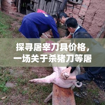 探寻屠宰刀具价格，一场关于杀猪刀等屠宰工具的百度搜索之旅