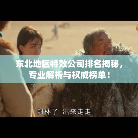 东北地区特效公司排名揭秘，专业解析与权威榜单！