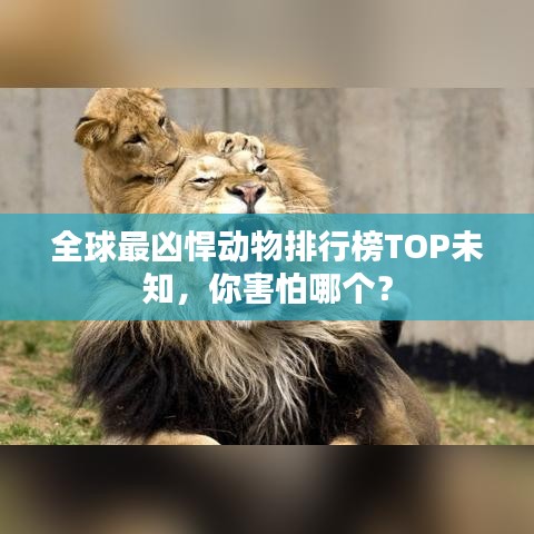 全球最凶悍动物排行榜TOP未知，你害怕哪个？