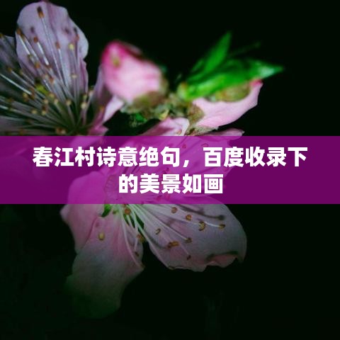 春江村诗意绝句，百度收录下的美景如画