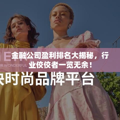 金融公司盈利排名大揭秘，行业佼佼者一览无余！