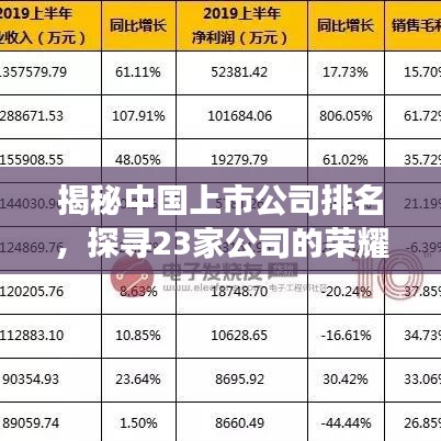 揭秘中国上市公司排名，探寻23家公司的荣耀与辉煌实力展现