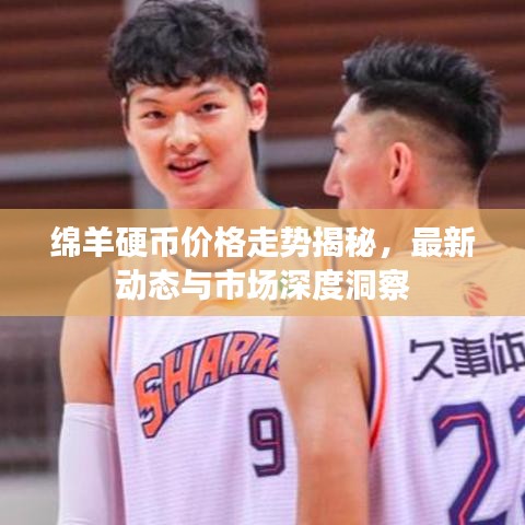 绵羊硬币价格走势揭秘，最新动态与市场深度洞察