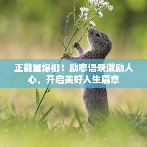 正能量爆棚！励志语录激励人心，开启美好人生篇章