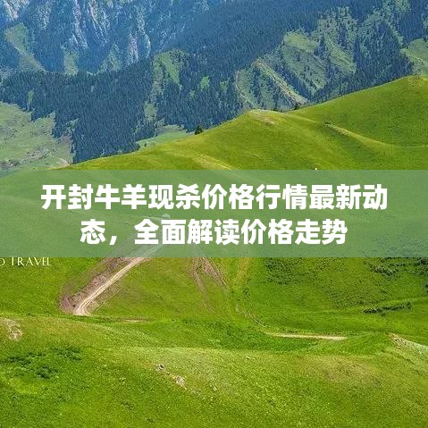 开封牛羊现杀价格行情最新动态，全面解读价格走势