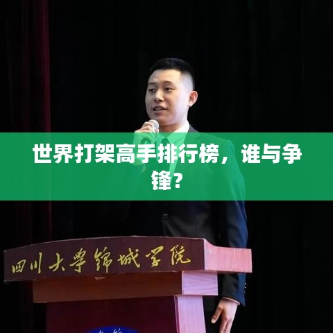 世界打架高手排行榜，谁与争锋？
