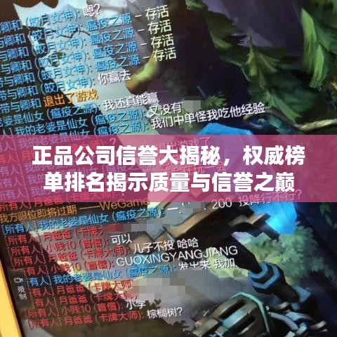 正品公司信誉大揭秘，权威榜单排名揭示质量与信誉之巅
