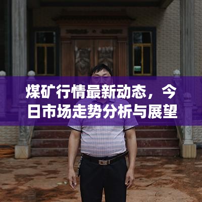 煤矿行情最新动态，今日市场走势分析与展望