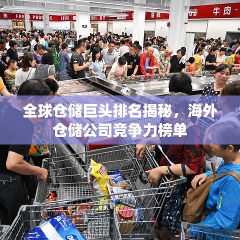 全球仓储巨头排名揭秘，海外仓储公司竞争力榜单