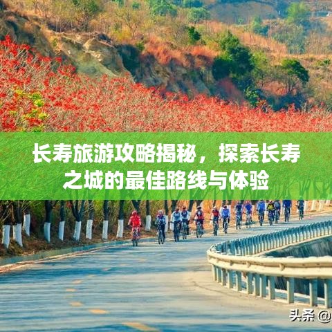 长寿旅游攻略揭秘，探索长寿之城的最佳路线与体验