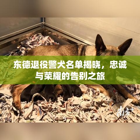 2025年6月13日 第4页